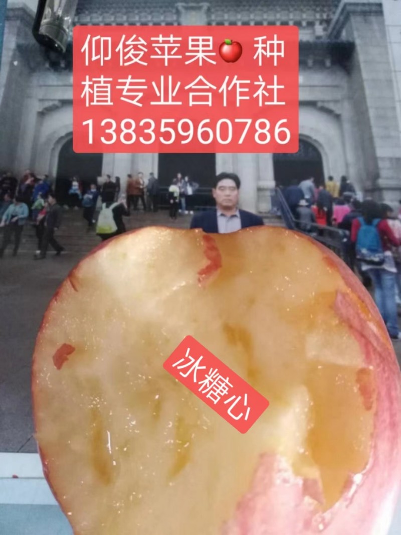 微信图片_20231111085220
