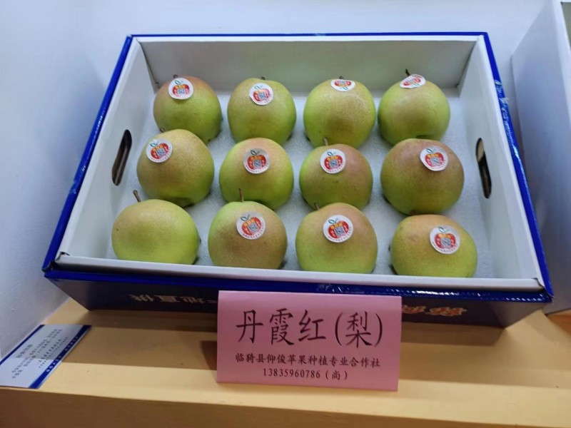 微信图片_20231117124959