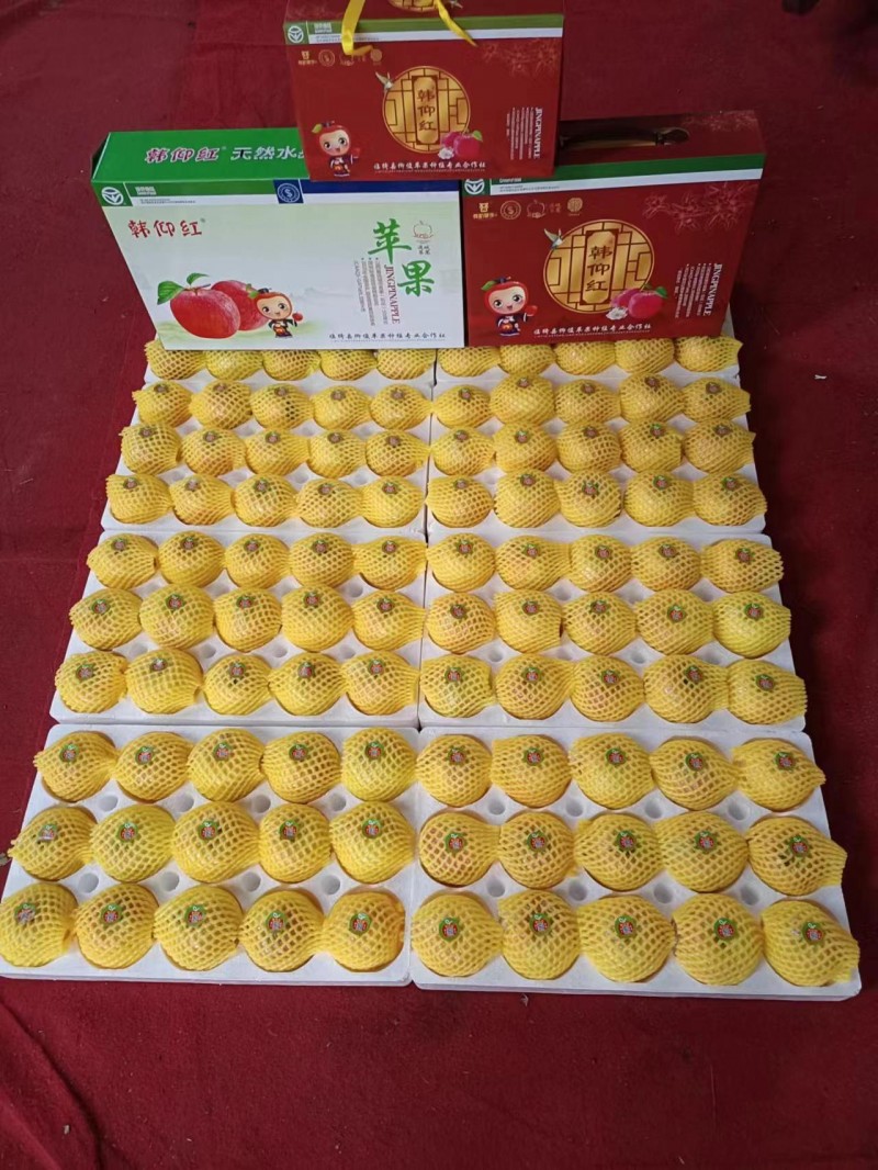 微信图片_202311110852191
